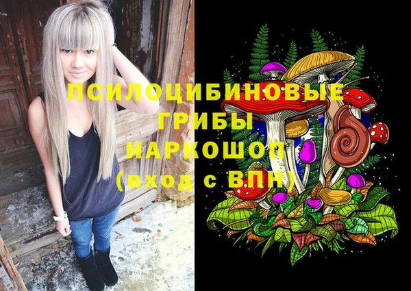 ешки Армянск
