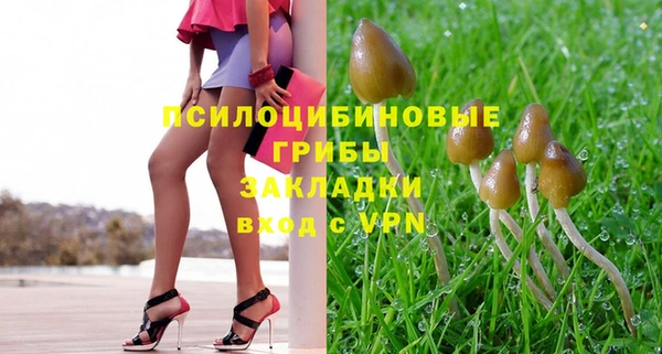 гидра Аркадак