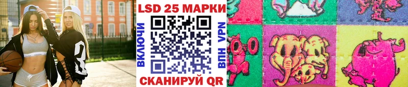 блэк спрут как войти  купить  цена  Морозовск  Наркотические марки 1500мкг 