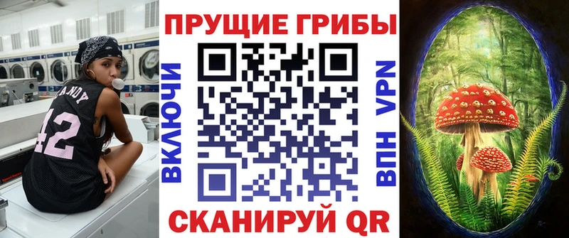 купить  цена  Морозовск  Псилоцибиновые грибы мицелий 