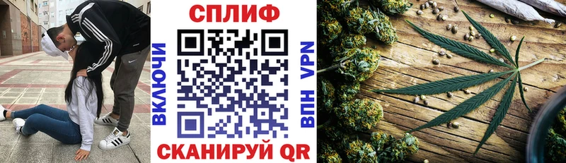 где продают   Морозовск  МАРИХУАНА семена 